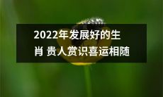 2022年，受到青睐的生肖贵人将会受到广泛赏识，获得喜运相随的发展机遇