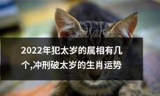 详解2022年犯太岁的属相及其冲刑破太岁的生肖运势变化