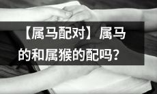 【马和猴的属相配对】是否适合属马者和属猴者进行配对呢？