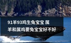 属羊和属鸡的父母生下的兔宝宝，是否容易抚养成功？——以91年羊和93年鸡为例探讨