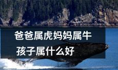 在中华传统文化中，爸爸属虎、妈妈属牛，那么孩子该属于哪个生肖呢？请教各位，孩子最适合属于哪个生肖？