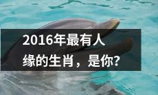 你是否是2016年最受欢迎的生肖？