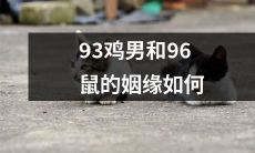 从相识到相守：揭秘93年鸡男与96年鼠女的跨越年龄和独特年份属相的缘分所在