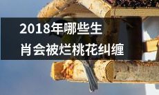 2018年哪些生肖将受到烂桃花的持续侵扰和困扰？