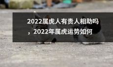 2022年属虎人运势预测：是否有贵人相助？2022年属虎人运势如何？