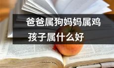 父母分别为狗和鸡，孩子应该属于哪种动物？寻找最佳的属相匹配方案