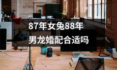 在中国的十二生肖中，87年女兔与88年男龙的婚姻是否具备配合适应的条件？