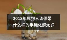 2018年狗年出生的人如何选择适合自己的手绳以化解太岁犯却带来好运？