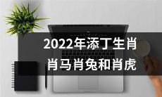 2022年添丁,这个生肖年轮廓描绘出肖马、肖兔和肖虎,成为了我们另一个时代的象征