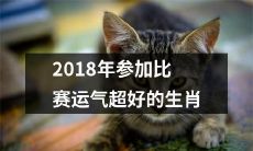 经历过好运星座崛起的2018年，生肖中临时参加比赛并获得多次幸运经历的选手们