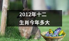 今年是2012年生肖的动物多少岁了？