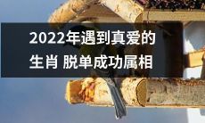 2022年克服缘分考验、找到真爱的生肖成功脱离单身苦海的典籍属相