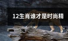 12生肖中,哪个动物最具时尚精髓?