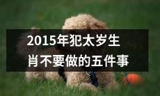 2015年属太岁生肖的人要避免的五大行为指南