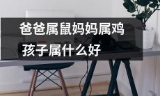 据其父母属鼠和属鸡推测，孩子应当属于何种生肖，选择最佳的生肖属相是什么？