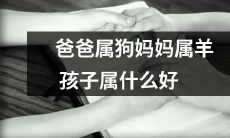 根据父母属相，孩子属什么，如何为孩子选择最合适的属相以获得更好的发展和幸福生活？