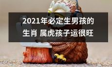 2021年属虎的孩子将迎来男性宝宝，运势大好！