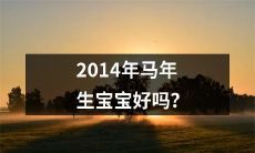 在2014马年，是否值得考虑生育宝宝？预计这一年的出生对宝宝和家庭将带来哪些影响？