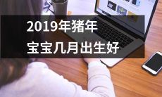什么时间出生的2019年猪年宝宝才最为可爱?