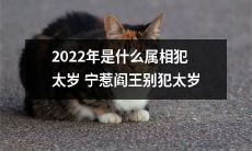 2022年的属相是谁？何时犯太岁？如何避免触犯阎王？