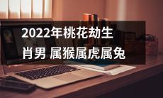2022年属猴、属虎、属兔的生肖男将会面临桃花劫