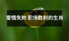 十二生肖中，爱情不顺却在职场大获全胜的那些！