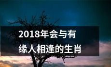 2018年生肖大乱斗：探寻可能与有缘人相逢的生肖之旅