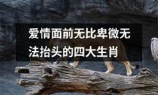 四大生肖因爱情抬不起头,面对爱情格外卑微