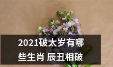 2021年度破太岁的生肖有哪些？辰丑两相破解详解！