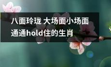 巧妙应对大小场景,全方位展现机智的生肖