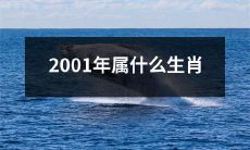 哪个生肖对应于2001年的生肖年?