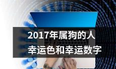 探究2017年出生于狗年的个体的幸运色和幸运数字