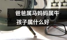 根据父母属相推断，属马的爸爸和属牛的妈妈的孩子将属于什么生肖，您有任何猜测吗？