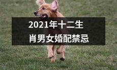 2021年十二生肖男女婚配禁忌:必读指南!避免婚姻厄运、提高婚姻质量的秘诀!