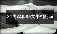81年生的男鸡和85年生的女牛是否适合结合？