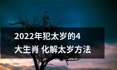 2022年将犯太岁的四大生肖，如何有效化解太岁压力？