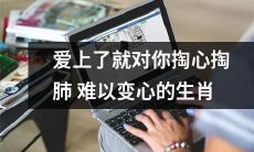 十二生肖中有哪些生肖在爱情中心甘情愿用心去爱，即便面临诱惑也不会改变心意？