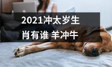 2021年，属羊和属牛的冲太岁生肖究竟能够带来怎样的影响？