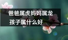 根据父母的属相，孩子应该属于什么属相呢？以爸爸为属虎，妈妈为属龙而言，快来看看孩子应该属于什么属相，不要错过这个有趣的命理测试！