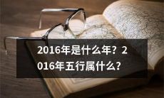 2016年的五行属性及其所代表的含义是什么?