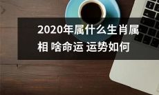 2020年属什么生肖属相？它的命运如何？运势是怎样的？