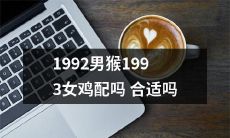 1992年生的男猴和1993年生的女鸡是否能够成功配对并相互兼容？