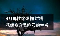 4月吉星高照，充满桃花运，但要注意避免烂桃花纠纷，易受挫折的十二生肖中，某些异性关系可能面临更多风险