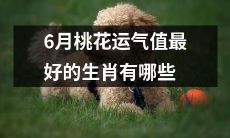 哪些生肖在6月享有最佳的桃花运气？
