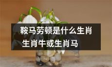 生肖鞍马劳顿，到底是生肖牛还是生肖马？