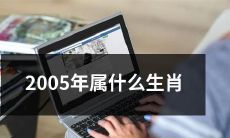在中国十二生肖中，2005年的出生属于哪个生肖？