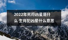 2022年将会有哪些生肖会遭受死符凶星的侵袭，而此凶星带来的意义又是何种程度的？