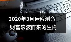2020年3月生肖运程大好,财富滚滚而来,详细测算指引!