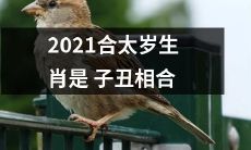 2021年合太岁生肖为子丑相合，万象更新，幸福开启！