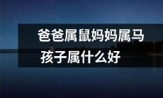 如果父母一个是属鼠一个是属马，那么他们的孩子最可能属于哪个生肖呢？